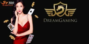 DG Live Casino