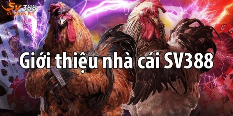chơi có trách nhiệm